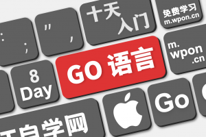 Go语言十天快速入门之第八天