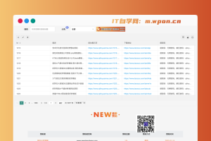 2022麒麟可视化资源数据Layui框架